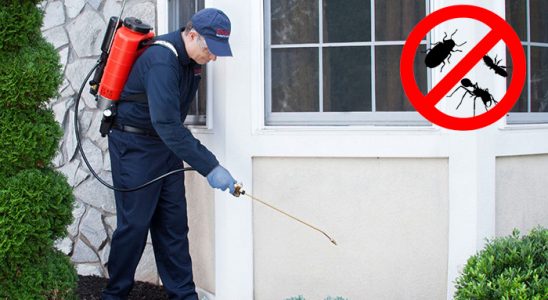 Kahta Dezenfeksiyon böcek ilaçlama ve haşere kontrolü — ilaclama-tr.com